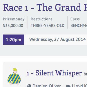 Web Design project for theraceguide.com.au.